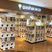 ヒメ日記 2025/01/24 18:03 投稿 茉莉紗（まりさ） Secret　select