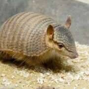 ヒメ日記 2025/01/30 00:13 投稿 茉莉紗（まりさ） Secret　select