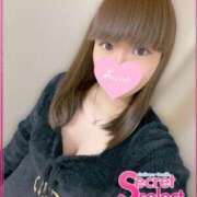 ヒメ日記 2025/02/04 13:13 投稿 茉莉紗（まりさ） Secret　select