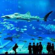 ヒメ日記 2025/05/02 17:04 投稿 茉莉紗（まりさ） Secret　select