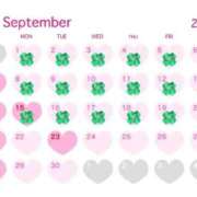 ヒメ日記 2025/08/31 16:13 投稿 茉莉紗（まりさ） Secret　select