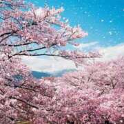 ヒメ日記 2026/03/11 00:14 投稿 茉莉紗（まりさ） Secret　select