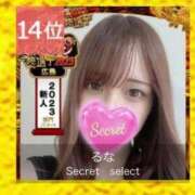 ヒメ日記 2023/11/10 14:54 投稿 るな Secret　select
