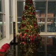 ヒメ日記 2025/11/05 22:35 投稿 あんじゅ 奥鉄オクテツ東京店（デリヘル市場）