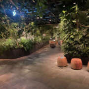 ヒメ日記 2025/12/15 21:57 投稿 あんじゅ 奥鉄オクテツ東京店（デリヘル市場）