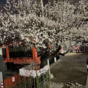 ヒメ日記 2026/02/12 18:21 投稿 あんじゅ 奥鉄オクテツ東京店（デリヘル市場）