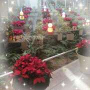 なおこ おはようございます♪ 熟女家 豊中蛍池店