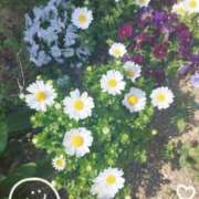 ヒメ日記 2026/02/22 08:21 投稿 なおこ 熟女家 豊中蛍池店