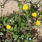 ヒメ日記 2026/03/12 11:59 投稿 なおこ 熟女家 豊中蛍池店