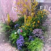 ヒメ日記 2026/03/18 12:56 投稿 なおこ 熟女家 豊中蛍池店