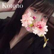 ヒメ日記 2025/03/26 08:55 投稿 ことの ナチュラルプリンセス