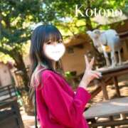 ヒメ日記 2025/04/15 23:15 投稿 ことの ナチュラルプリンセス