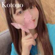 ヒメ日記 2025/05/16 08:25 投稿 ことの ナチュラルプリンセス