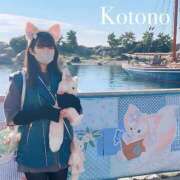 ヒメ日記 2025/06/09 20:15 投稿 ことの ナチュラルプリンセス