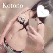 ヒメ日記 2025/06/11 12:38 投稿 ことの ナチュラルプリンセス