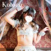 ヒメ日記 2025/06/29 19:33 投稿 ことの ナチュラルプリンセス