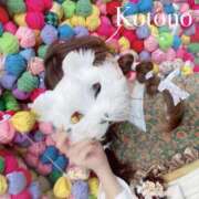 ヒメ日記 2025/07/10 08:55 投稿 ことの ナチュラルプリンセス