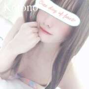 ヒメ日記 2025/07/11 10:18 投稿 ことの ナチュラルプリンセス