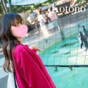 ヒメ日記 2025/07/16 12:06 投稿 ことの ナチュラルプリンセス