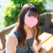 ヒメ日記 2025/07/18 18:45 投稿 ことの ナチュラルプリンセス