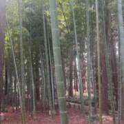 ヒメ日記 2025/06/09 01:41 投稿 りか 日暮里・西日暮里サンキュー