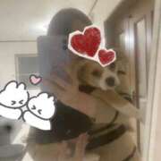 ヒメ日記 2025/03/22 15:51 投稿 ななえ 夜這専門発情する奥様たち 谷九店