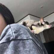 ヒメ日記 2025/10/07 23:21 投稿 ななえ 夜這専門発情する奥様たち 谷九店