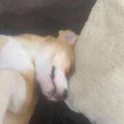 ヒメ日記 2025/10/09 10:51 投稿 ななえ 夜這専門発情する奥様たち 谷九店