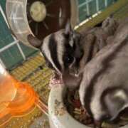 ヒメ日記 2025/10/29 17:01 投稿 ななえ 夜這専門発情する奥様たち 谷九店