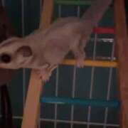 ヒメ日記 2025/12/19 18:56 投稿 ななえ 夜這専門発情する奥様たち 谷九店