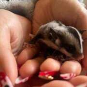 ヒメ日記 2026/02/15 18:41 投稿 ななえ 夜這専門発情する奥様たち 谷九店