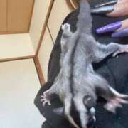 ななえ ꒰ ՞ᴑ̴̶̷̤́ᾥᴑ̴̶̷̤́՞ ꒱👶🏻♡ 夜這専門発情する奥様たち 谷九店