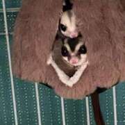 ヒメ日記 2026/02/28 21:21 投稿 ななえ 夜這専門発情する奥様たち 谷九店