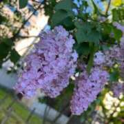 ヒメ日記 2025/05/23 17:18 投稿 なる ソープランド AQUA（アクア）