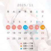 ヒメ日記 2025/11/10 11:38 投稿 なる ソープランド AQUA（アクア）