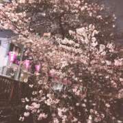 ヒメ日記 2026/04/02 16:48 投稿 なる ソープランド AQUA（アクア）