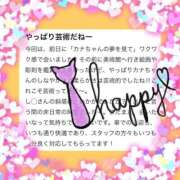 如月　かなの SHIRO なら様🍉❤️ アムアージュ