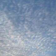 ヒメ日記 2025/03/15 21:03 投稿 あい 福島美女図鑑