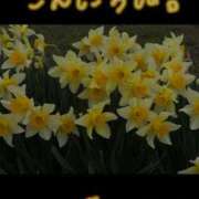 ヒメ日記 2025/04/15 16:24 投稿 あい 福島美女図鑑