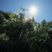 ヒメ日記 2025/05/09 15:23 投稿 あい 福島美女図鑑