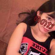 ヒメ日記 2024/12/14 13:49 投稿 ののか お姉京都