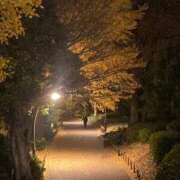 ヒメ日記 2025/12/11 15:43 投稿 みこと 東京妻next