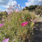 ヒメ日記 2024/12/18 12:52 投稿 こまち 豊満熟女