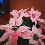 ヒメ日記 2024/12/20 23:44 投稿 こまち 豊満熟女