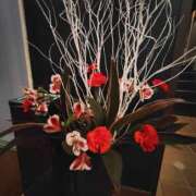 ヒメ日記 2024/12/25 23:52 投稿 こまち 豊満熟女