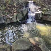 ヒメ日記 2024/12/29 09:56 投稿 こまち 豊満熟女