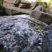 ヒメ日記 2024/12/30 10:52 投稿 こまち 豊満熟女