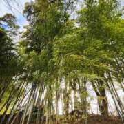 ヒメ日記 2025/01/29 13:04 投稿 こまち 豊満熟女