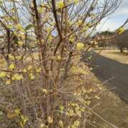 ヒメ日記 2025/01/31 14:06 投稿 こまち 豊満熟女