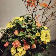 ヒメ日記 2025/02/02 00:24 投稿 こまち 豊満熟女